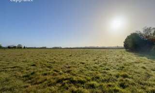 Terrain  955 m² à vendre à Langon (33210)