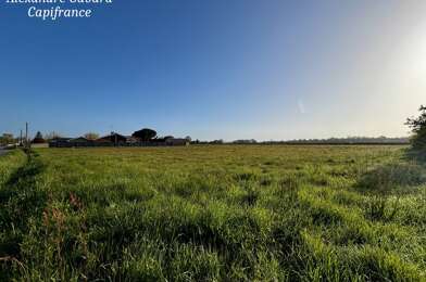Terrain  84000 €
