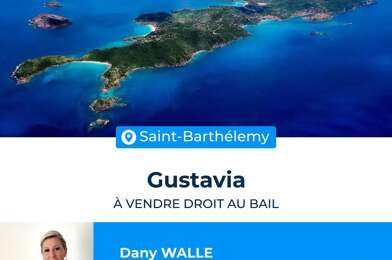 Commerce  295000 €