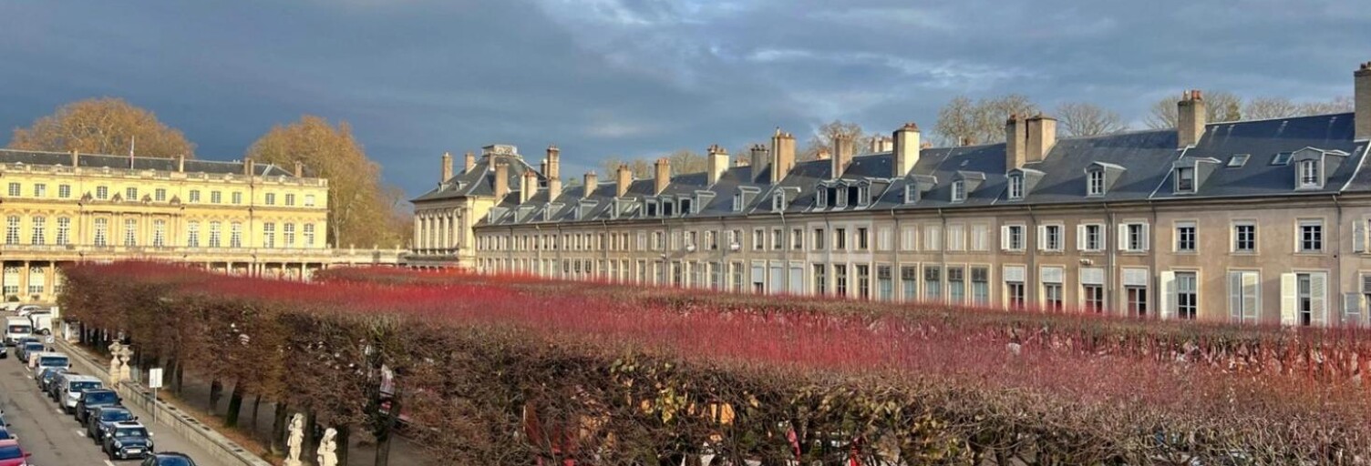 Appartement 3 Pièces 38 m² à louer à Nancy (54000)