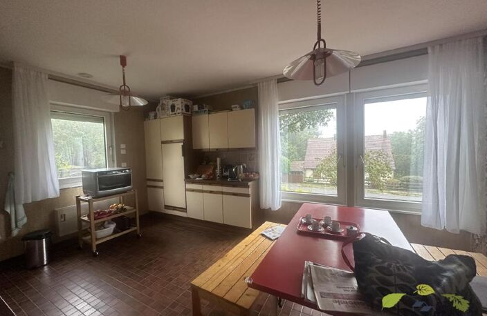 HAUTE VIENNE — photo 3