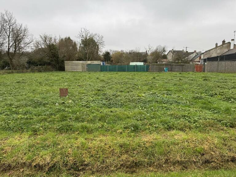 Terrain — photo 1