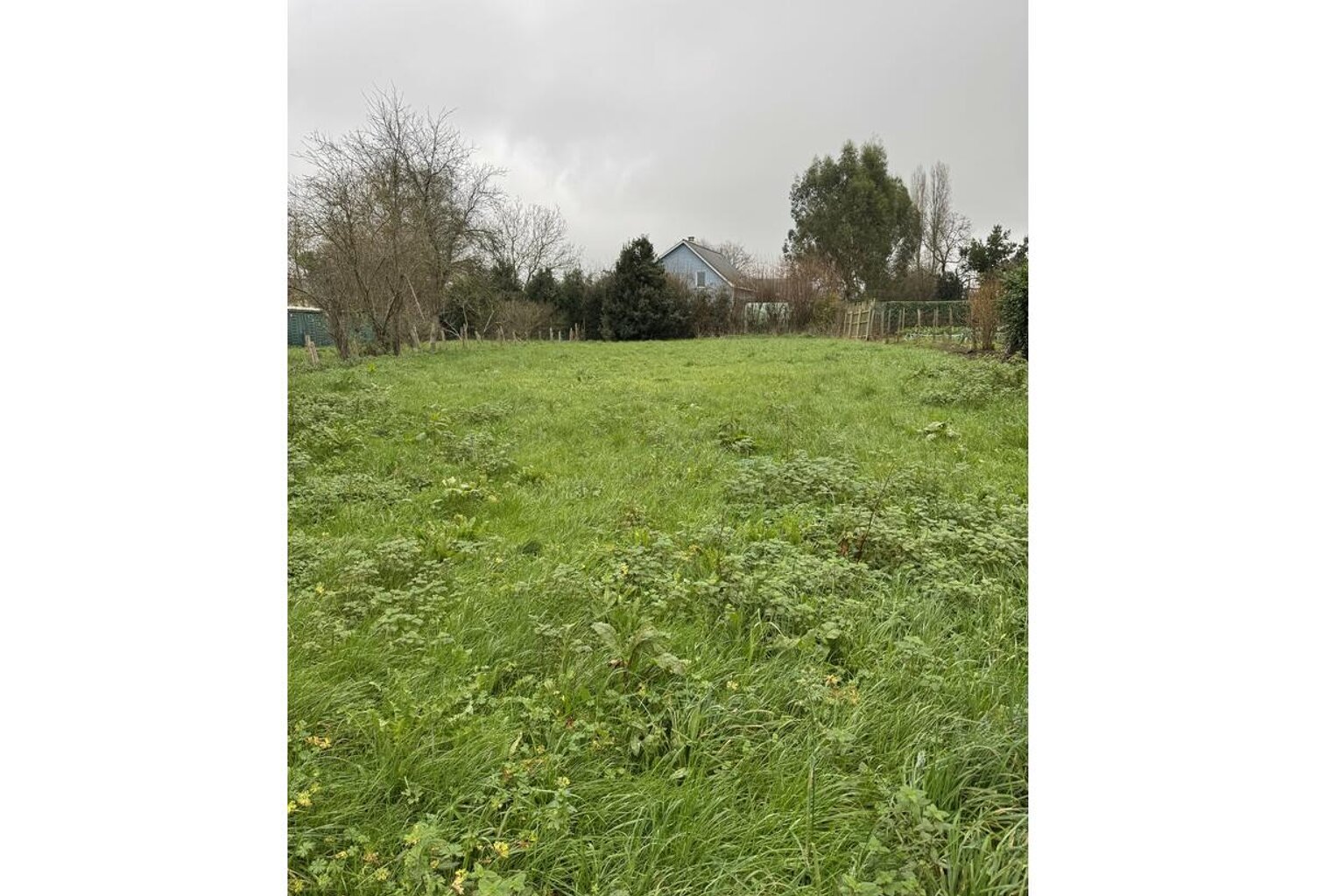 Terrain — photo 1