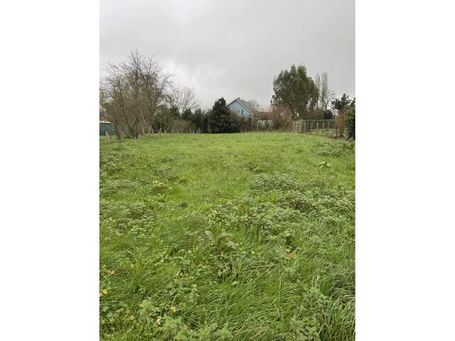 Terrain — photo du bien