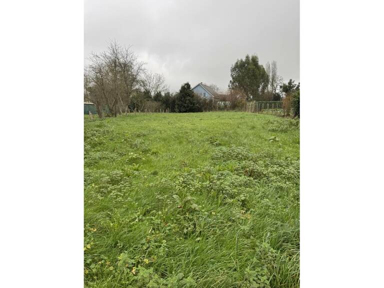 Terrain — photo 1