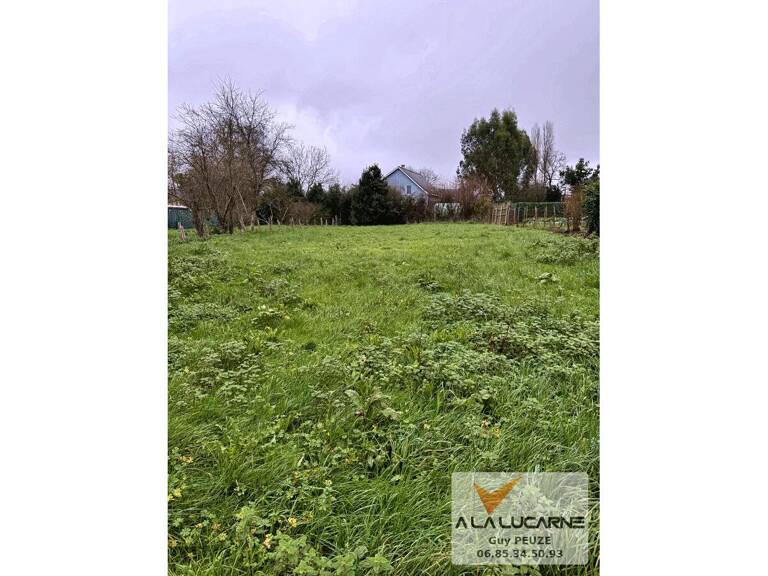 Terrain — photo 1