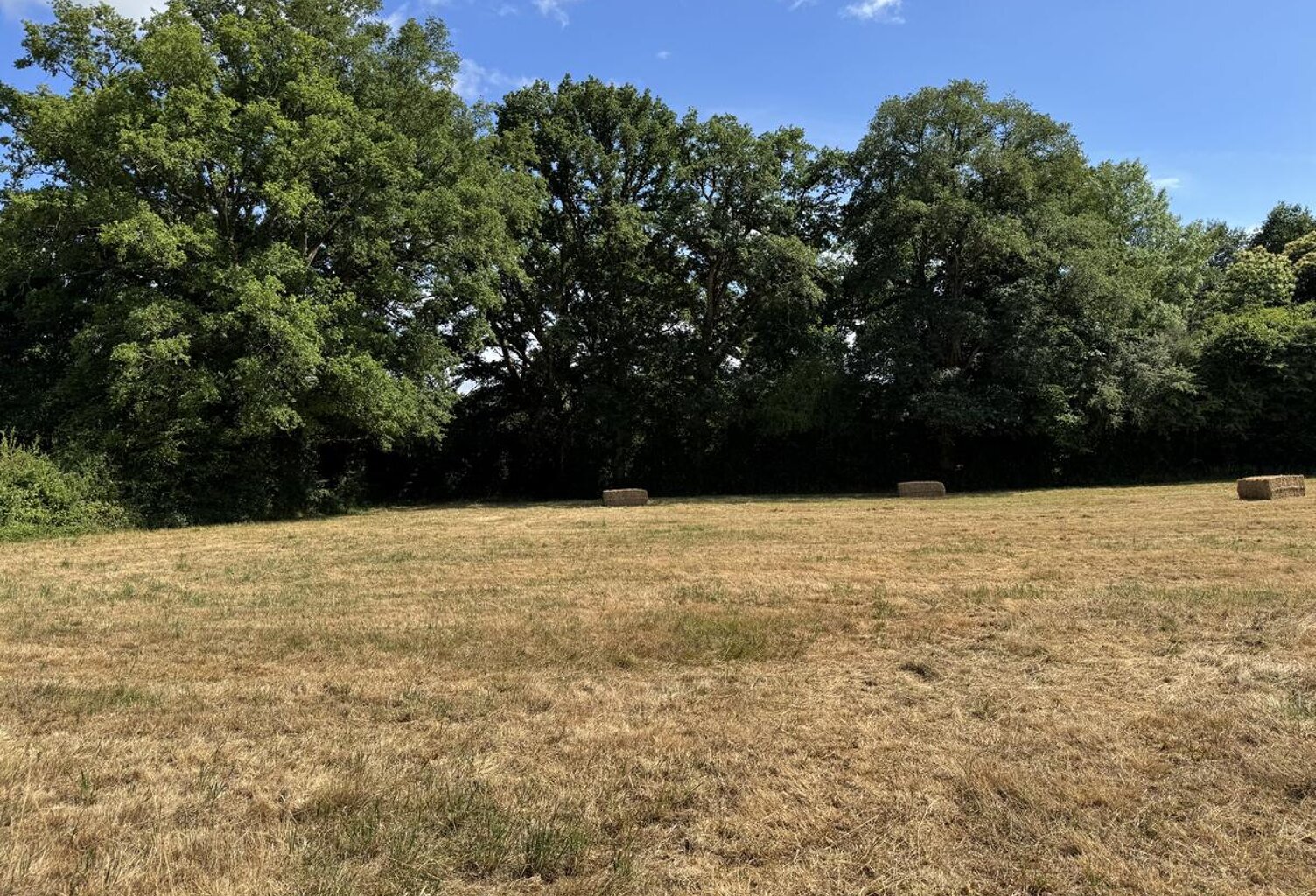 Terrain — photo 1