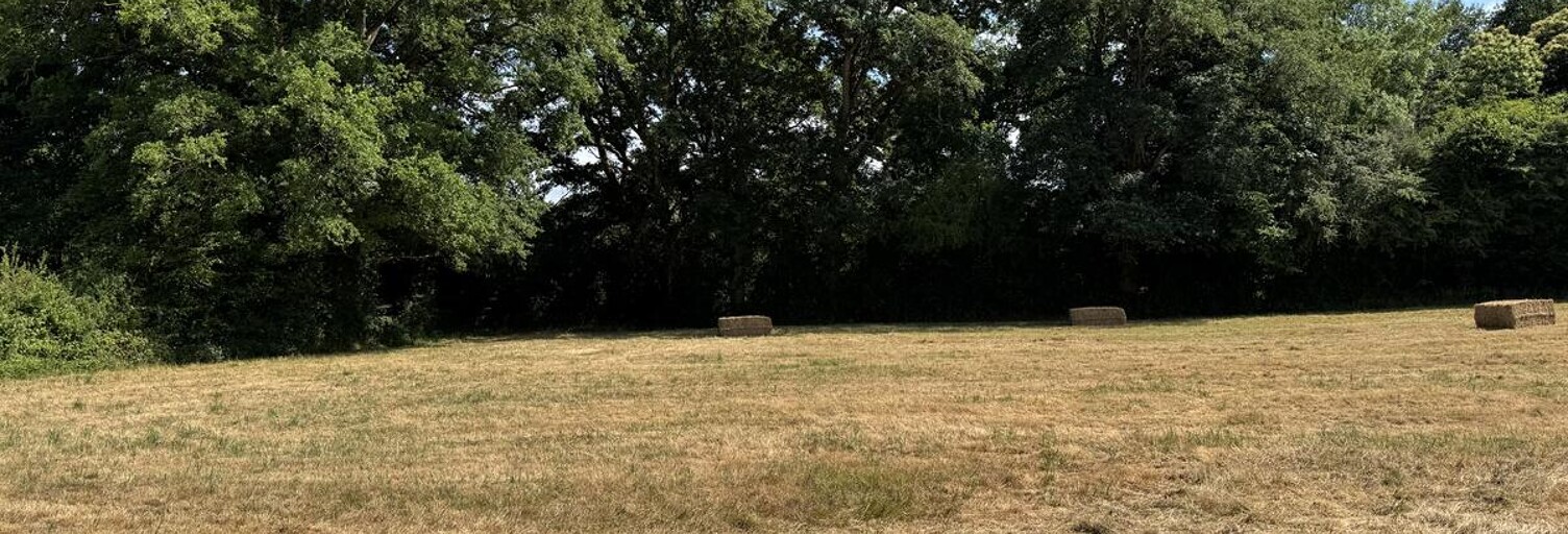 Terrain  1898 m² à vendre à Châteaubriant (44110)