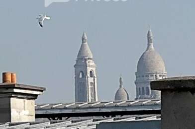 Appartement 1 pièces 97900 €