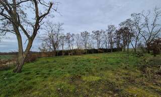 Terrain  2230 m² à vendre à Chissay-en-Touraine (41400)
