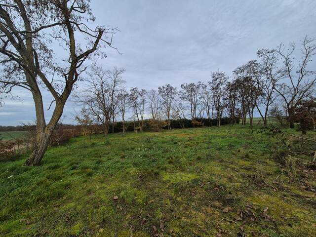 Terrain Chissay-En-Touraine Vue sur le Cher — photo du bien
