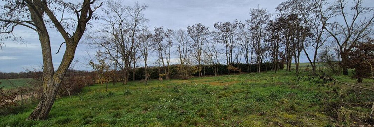 Terrain  2230 m² à vendre à Chissay-en-Touraine (41400)