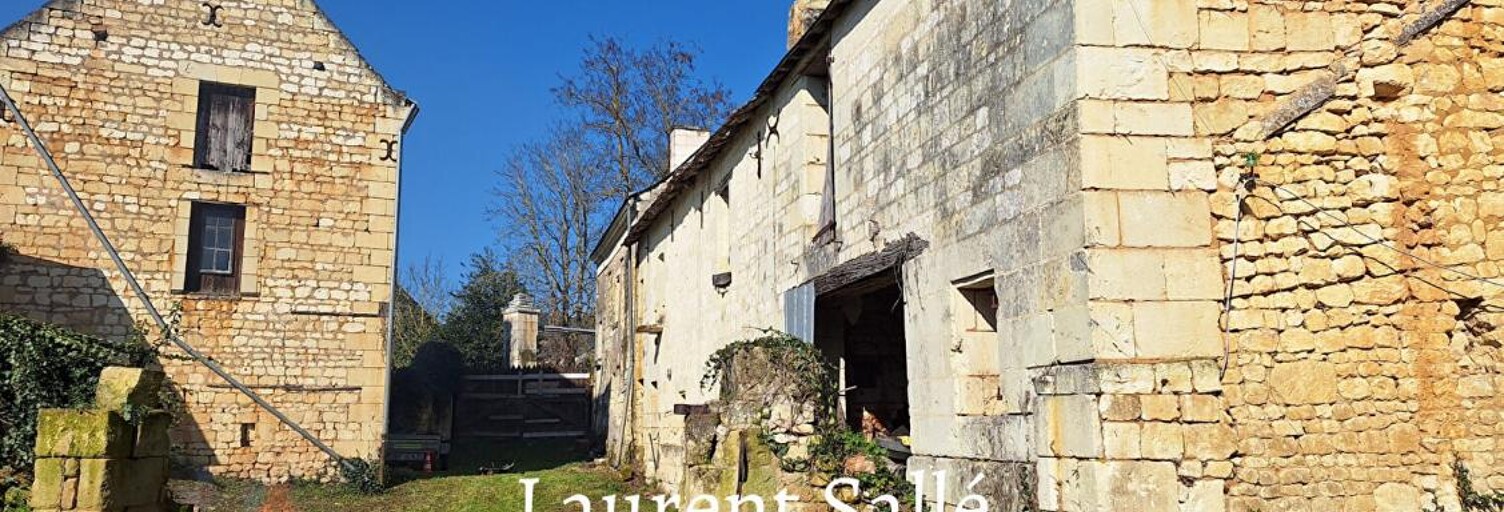 Maison 11 Pièces 315 m² à vendre à Lerné (37500)