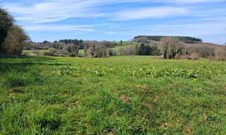 Terrain  1508 m² à vendre à Neuvic-Entier (87130)