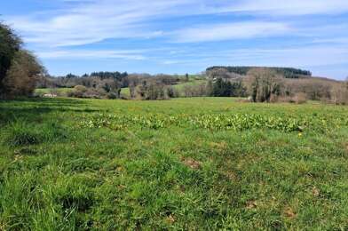 Terrain  18000 €
