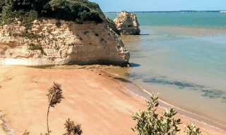 Maison 2 Pièces 44 m² à vendre à Saint-Georges-de-Didonne (17110)