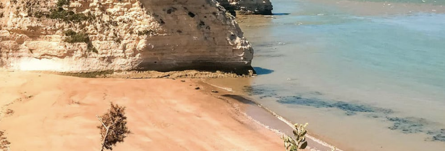 Maison 2 Pièces 44 m² à vendre à Saint-Georges-de-Didonne (17110)