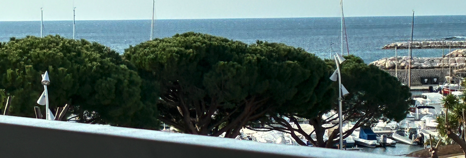 Appartement 1 Pièce 34 m² à vendre à Carqueiranne (83320)