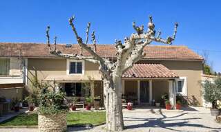 Maison 8 Pièces 209 m² à vendre à Mollégès (13940)