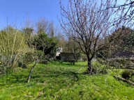 Charmante maison avec dépendance et grand terrain arborés — photo 3
