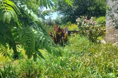 Maison 10 pièces 320000 €