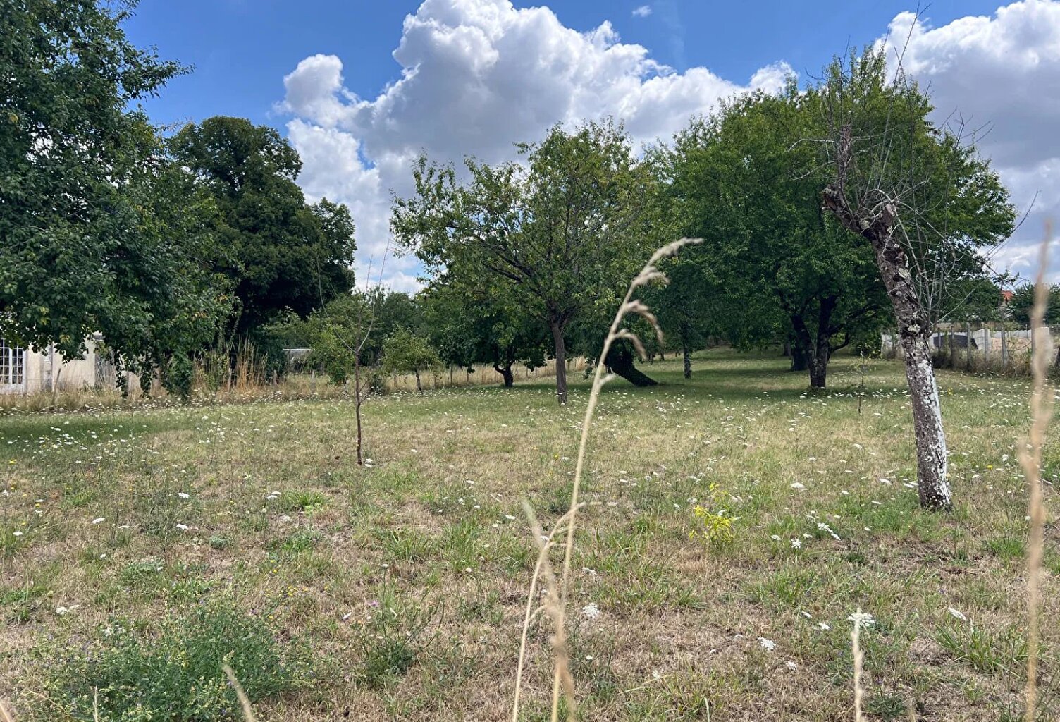 Terrain Lhommaize 1849 m2 — photo 1