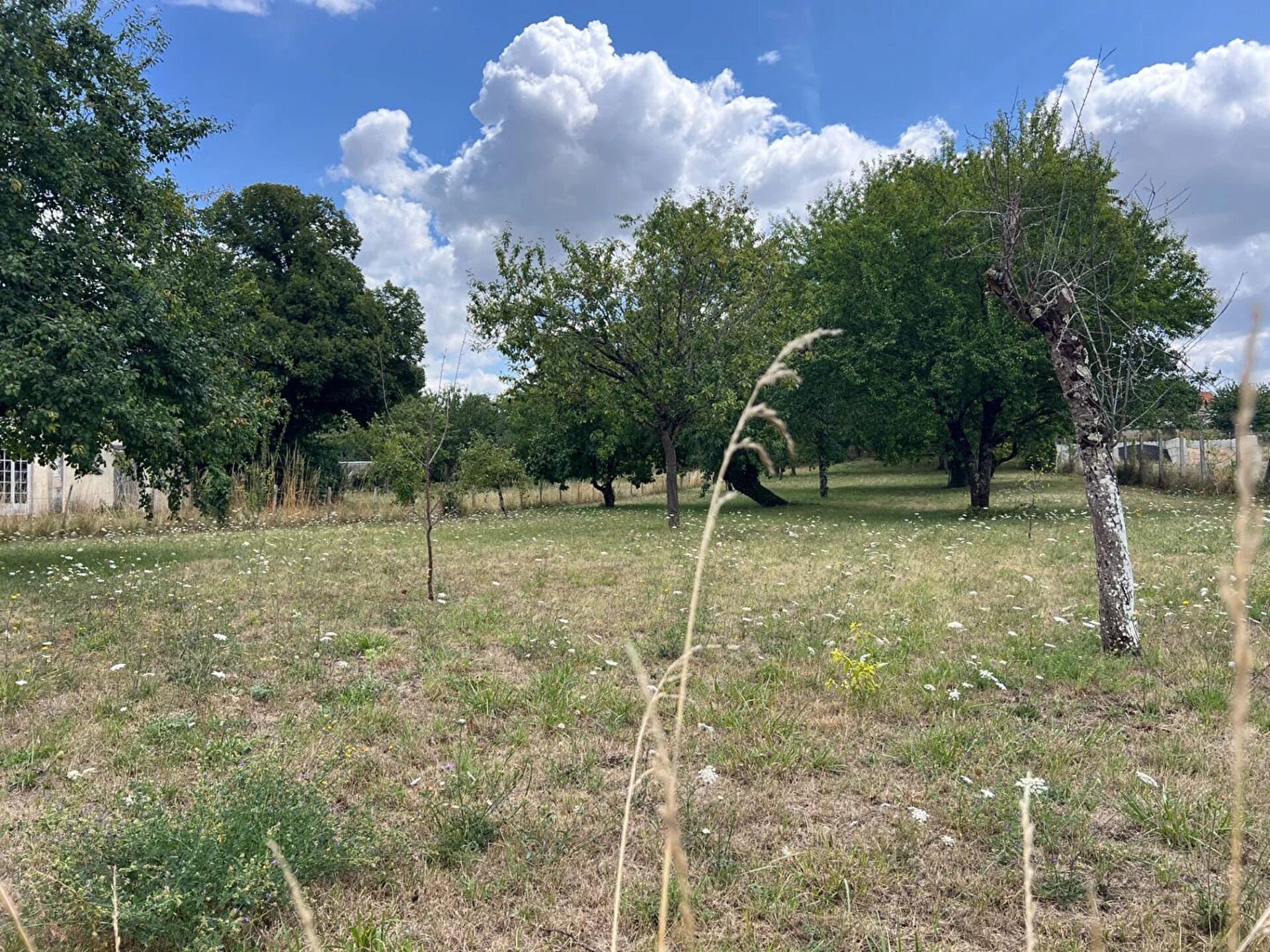 Vente Terrain 1849 m2 à Lhommaizé · 39 000 €