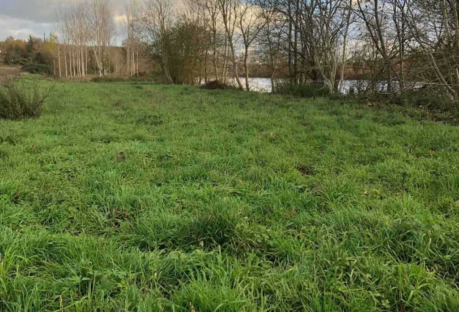 terrain de loisir à Chauvigny — photo 1