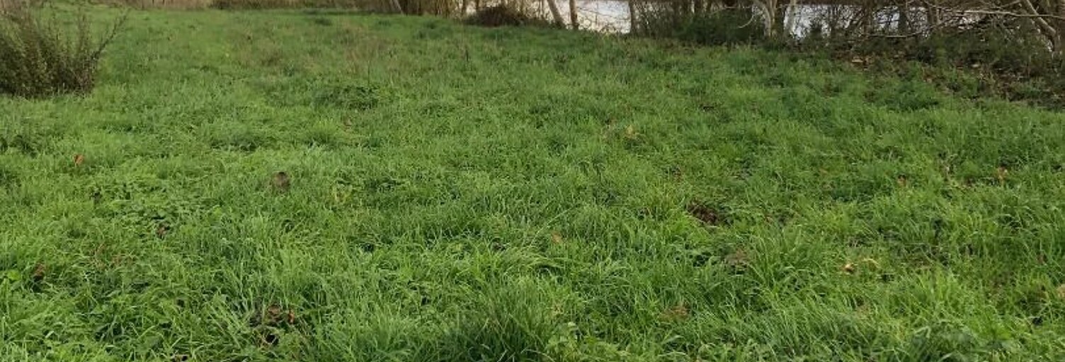 Terrain  450 m² à vendre à Chauvigny (86300)