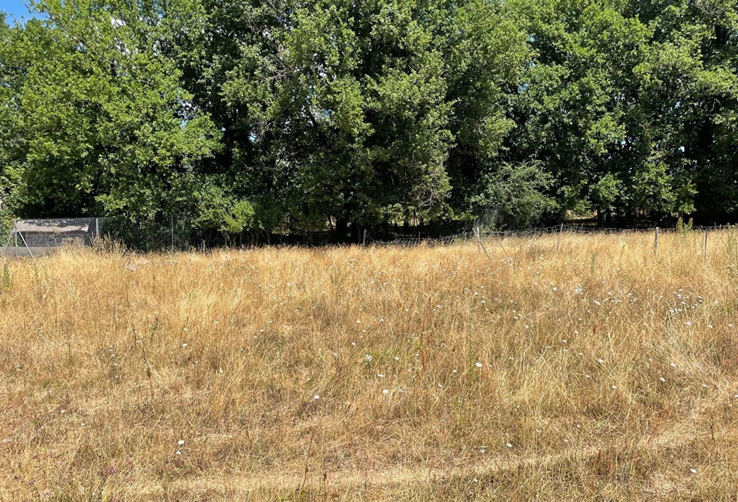 Terrain à bâtir de 598m² — photo 1