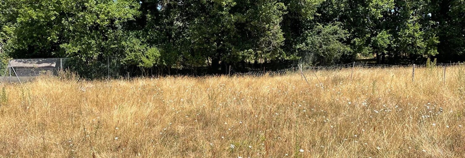 Terrain  598 m² à vendre à Liniers (86800)