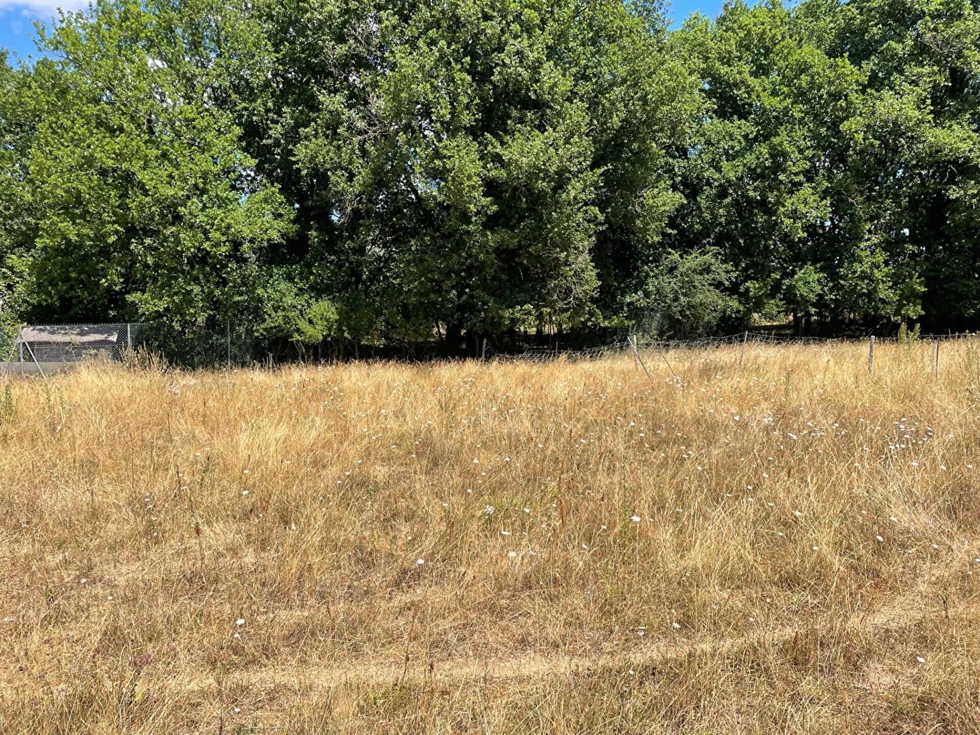 Vente Terrain 598 m2 à Liniers · 33 600 €