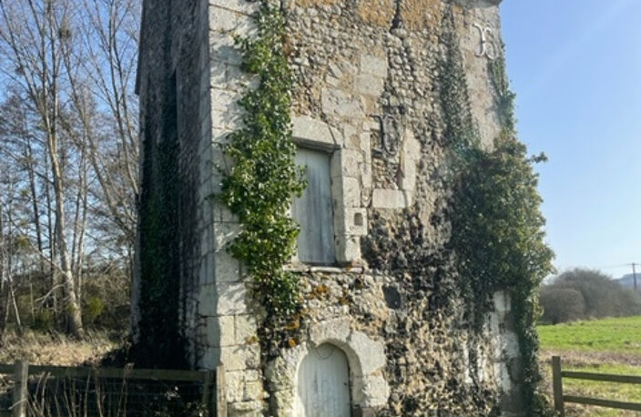 Cour Maugis sur Huisne, ancien logis du XVII ème avec ses co — photo 4