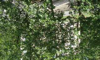 Appartement 1 Pièce 25 m² à louer à Paris 12 (75012)