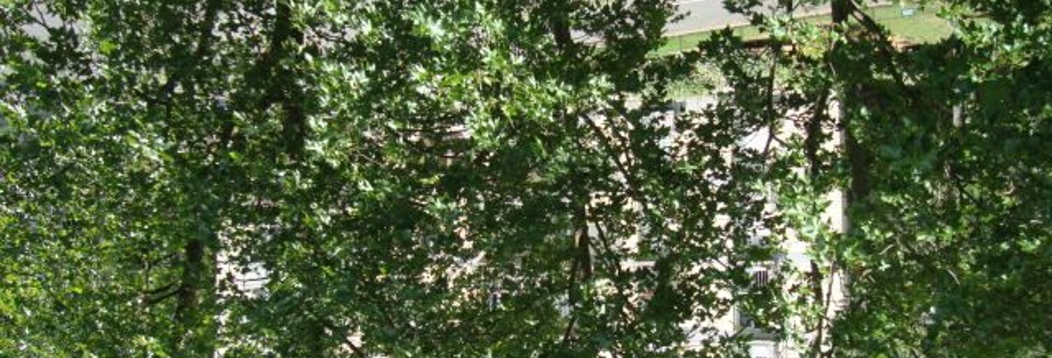 Appartement 1 Pièce 25 m² à louer à Paris 12 (75012)