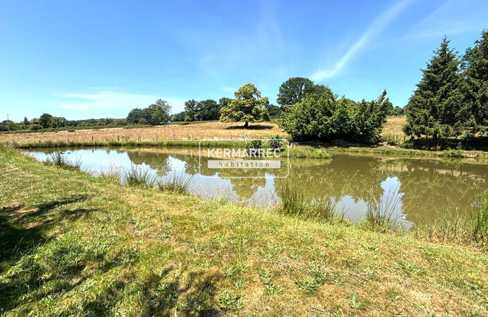 A VENDRE Pièce d'eau à JUVIGNE 2382 m² - 19 500   HAI — photo 2