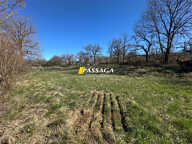 A VENDRE - Terrain à bâtir 1 303 m² -  CAMPEYROUX — photo 4