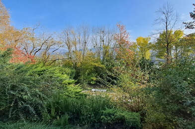 Terrain  270400 €