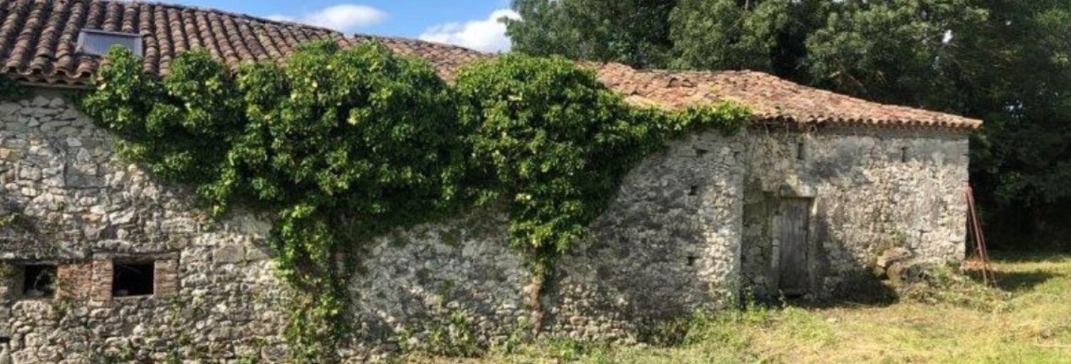 Maison 1 Pièce 1130 m² à vendre à Villegouge (33141)