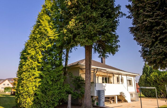 jolie maison implantée sur un grand terrain arboré et clôturé. — photo 4