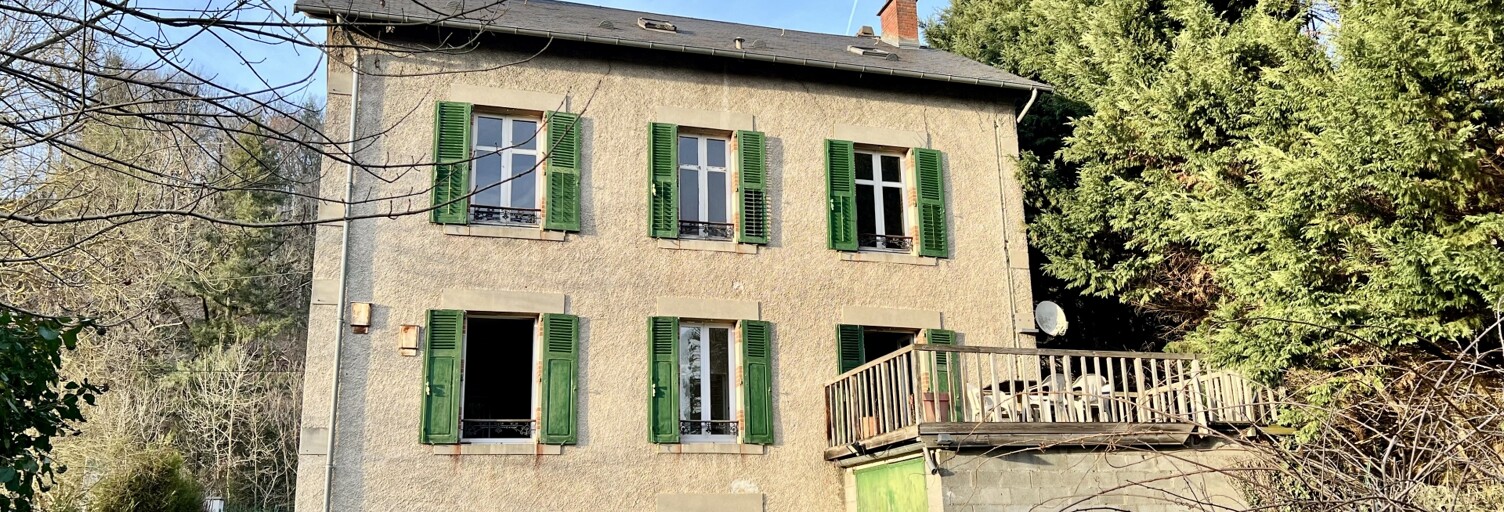 Maison 7 Pièces 195 m² à vendre à Isle (87170)