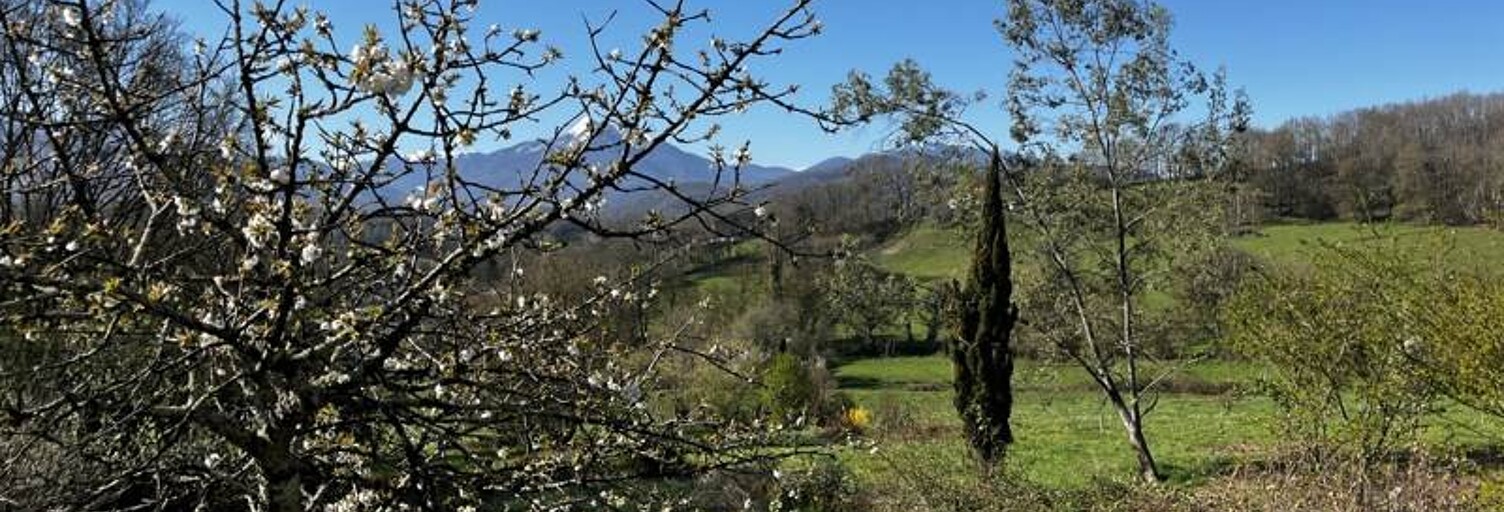 Maison 4 Pièces 92 m² à vendre à Ganties (31160)