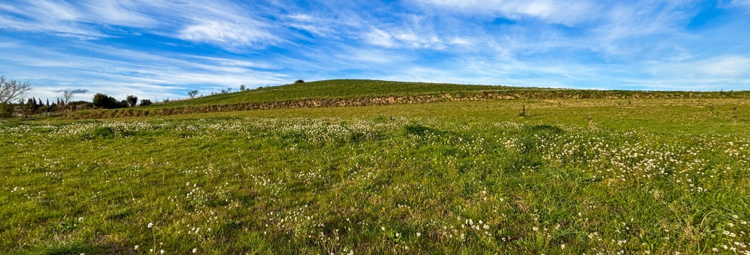 Terrain  1231 m² à vendre à Limoux (11300)