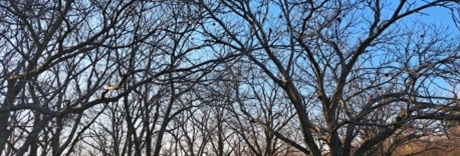 Terrain  55000 m² à vendre à Ozon (07370)