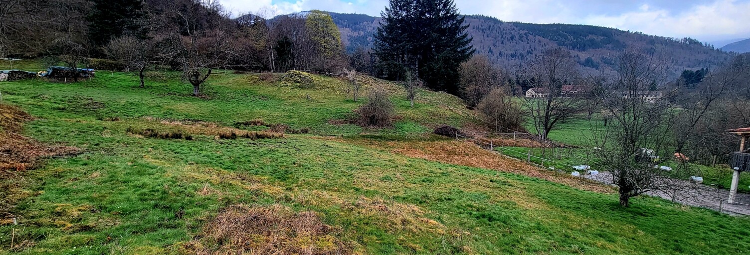 Terrain  4402 m² à vendre à Storckensohn (68470)