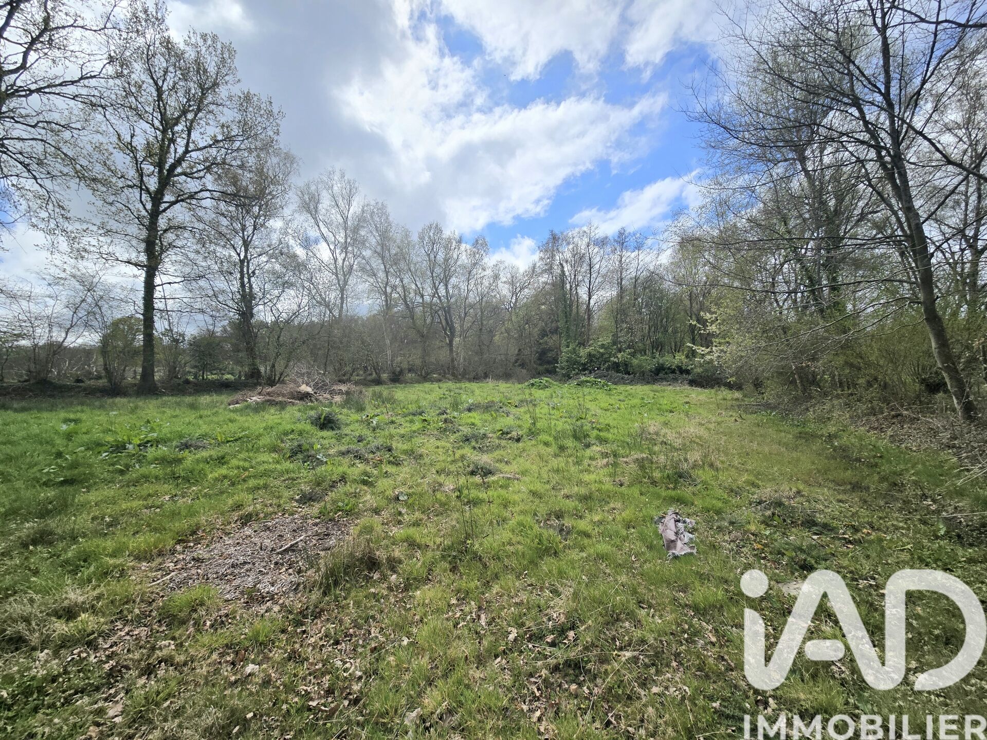 Le-Theil-En-Auge - 4454m²