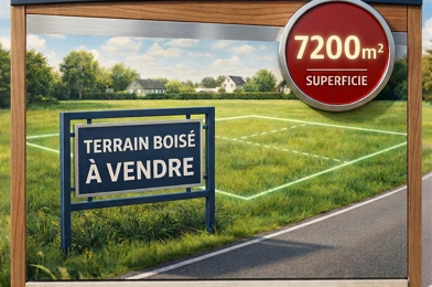 Terrain  73900 €