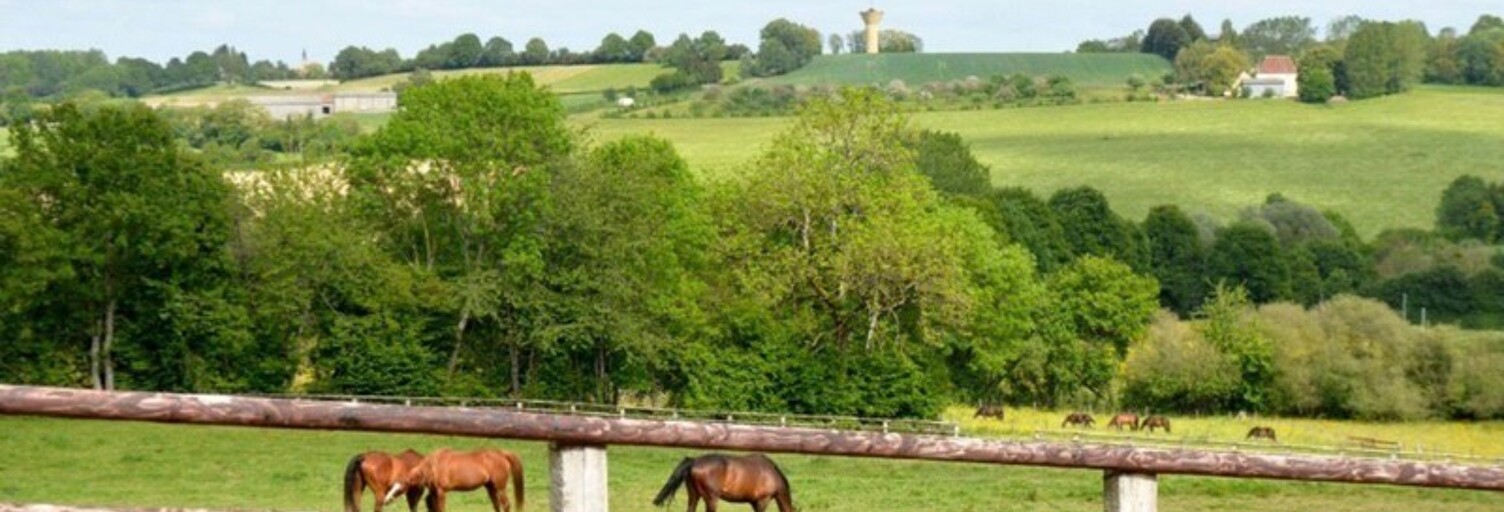 Commerce 3 Pièces 40 m² à vendre à Perche en Nocé (61340)