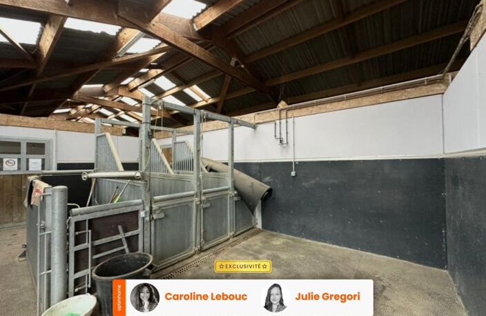 Haras d'élevage et de valorisation sur 6,5 ha d'un seul tenant avec bâtiment 2016 (12 boxes) et logement de fonction — photo 4