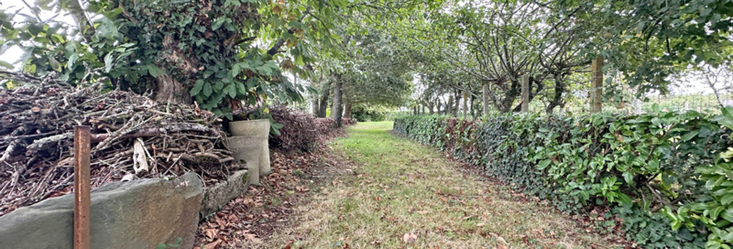 Terrain  1121 m² à vendre à Rieux (56350)